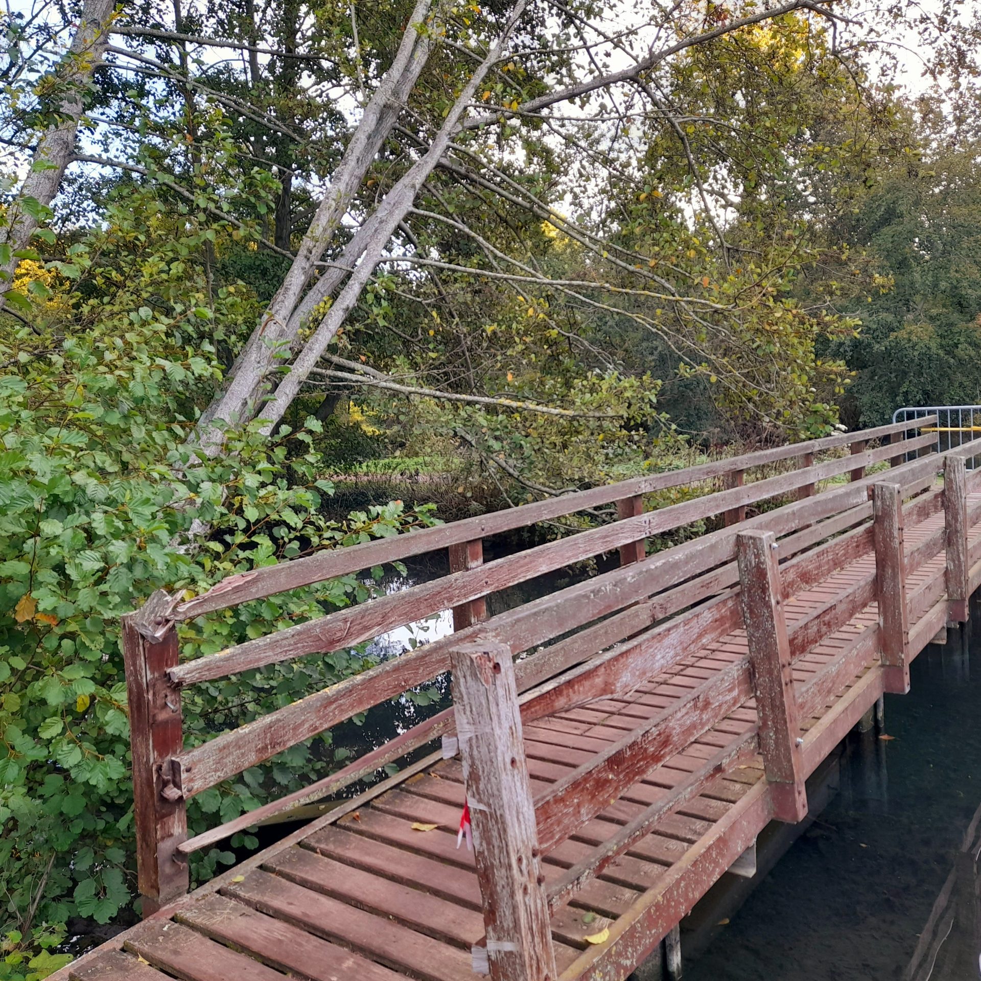 Travaux | Rénovation et sécurisation de la passerelle en bois