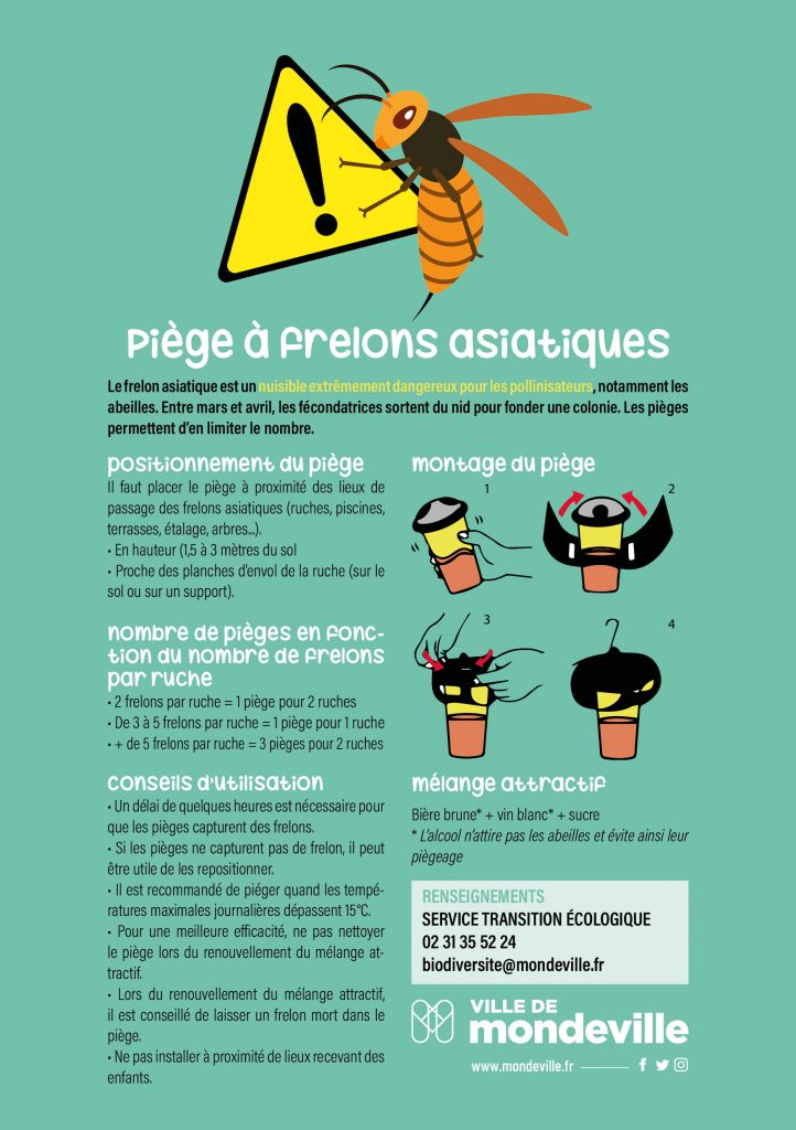 Une distribution de pièges gratuits pour capturer les frelons asiatiques -  Ville de Mondeville