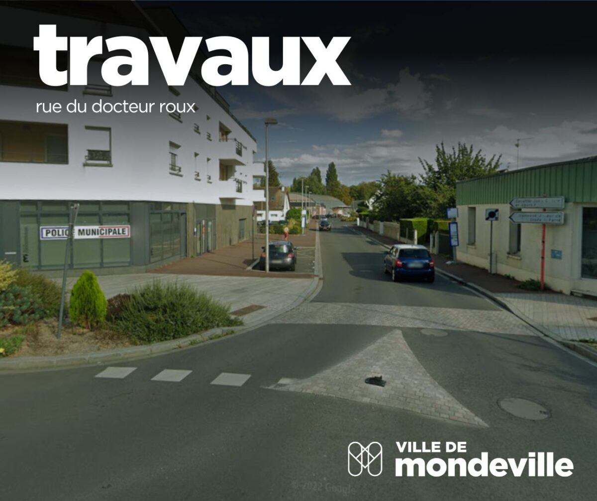 travaux rue dr roux