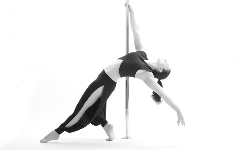 Initiation pole dance Initiation pole dance