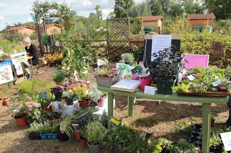 Fête du jardin à Mondeville