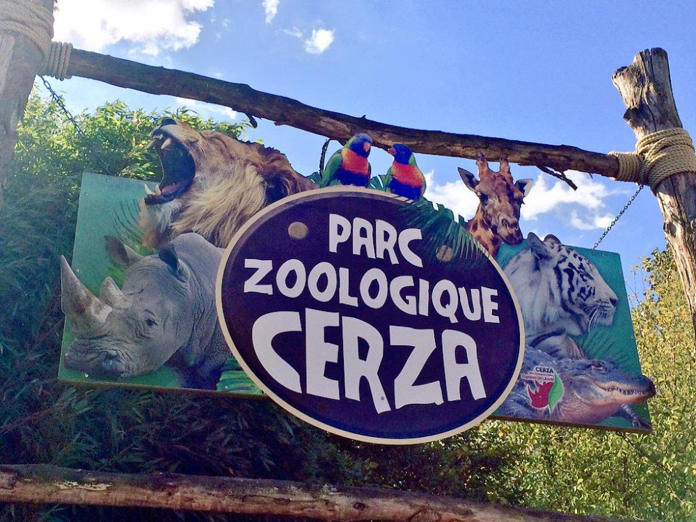 Zoo