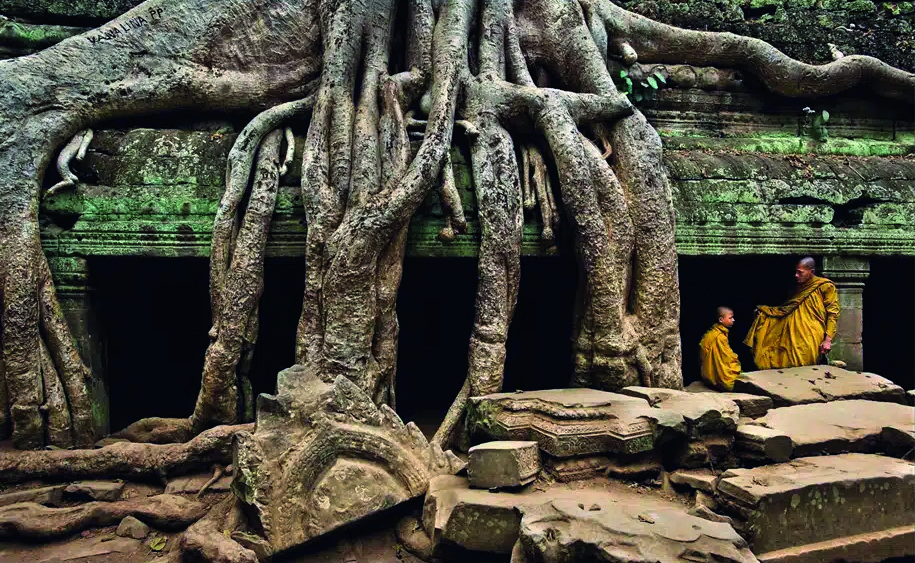 Forêt – Fondation Good Planet (Festival À partir du réel)