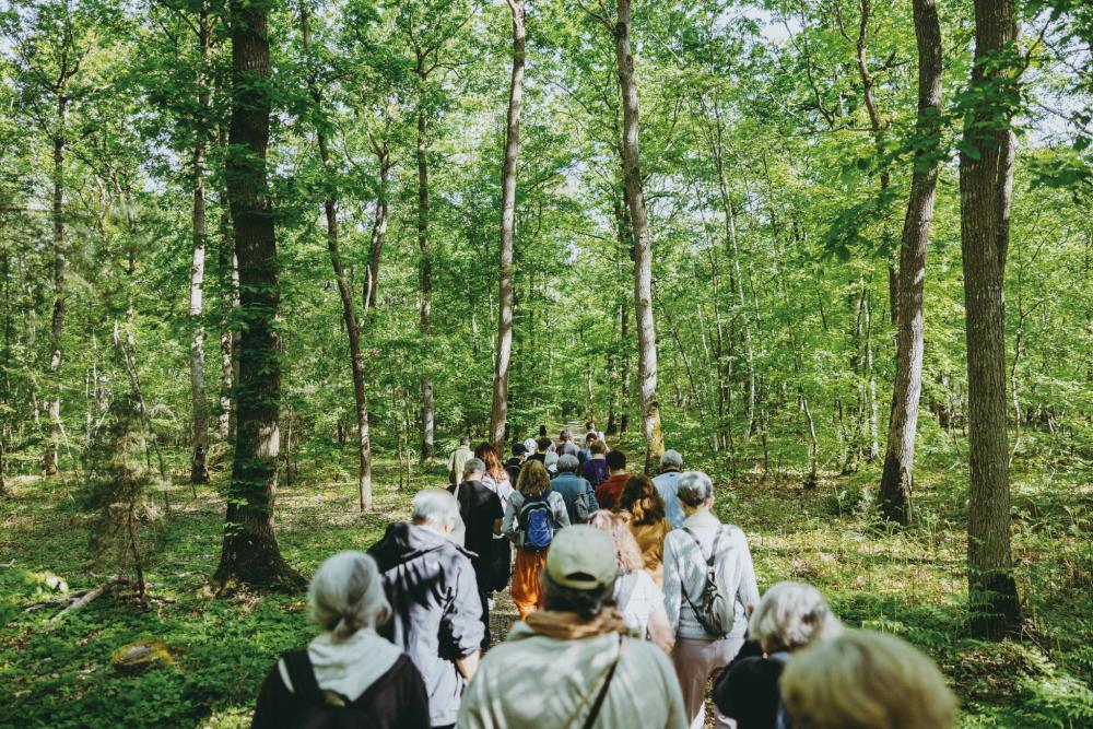 Habiter la forêt  (Festival À partir du réel)
