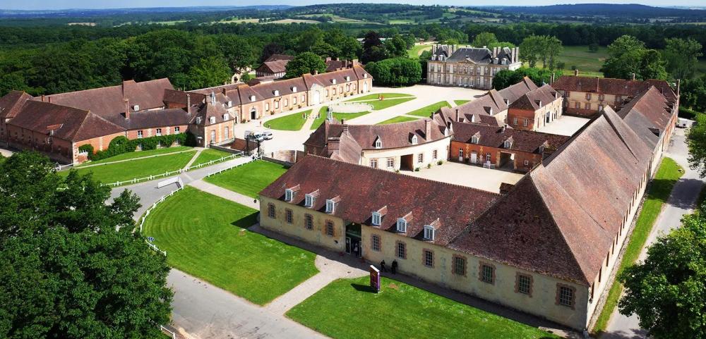 Visite et spectacle équestre au Haras du Pin