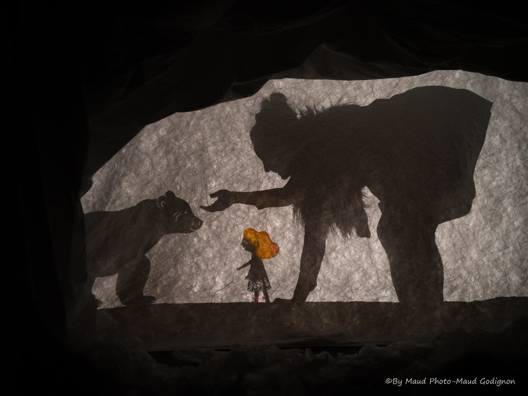 La saison des ours
