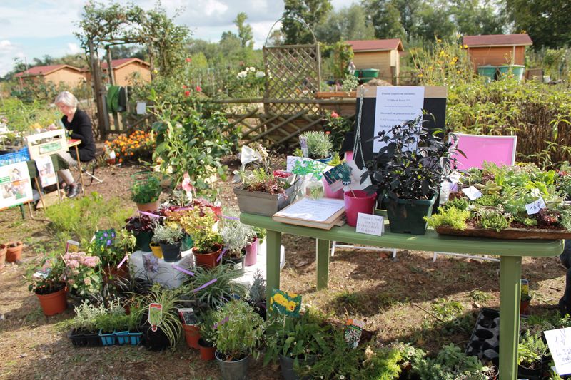 Vide-jardins Vide-jardins