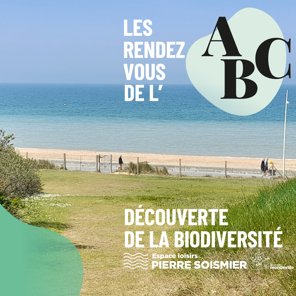 Les rendez-vous de l'ABC - Découverte de la biodiversité de l'espace Pierre Soismier à Cabourg