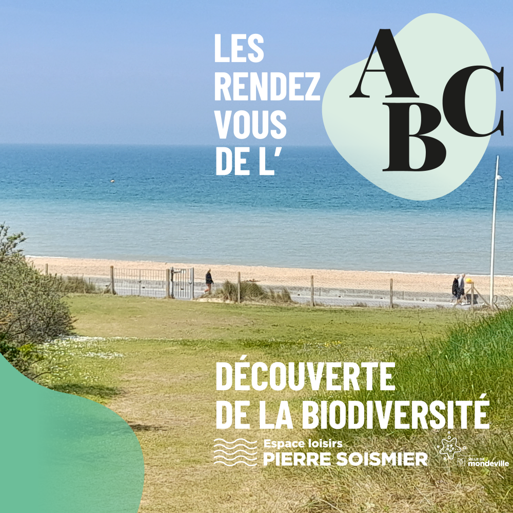 Les rendez-vous de l'ABC - Découverte de la biodiversité de l'espace Pierre Soismier à Cabourg Les rendez-vous de l'ABC - Découverte de la biodiversité de l'espace Pierre Soismier à Cabourg