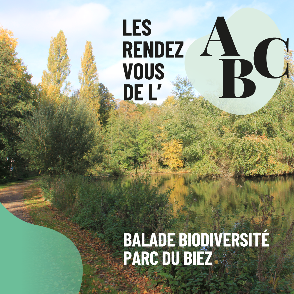 Les RDV de l'ABC - Balade biodiversité dans le parc du Biez